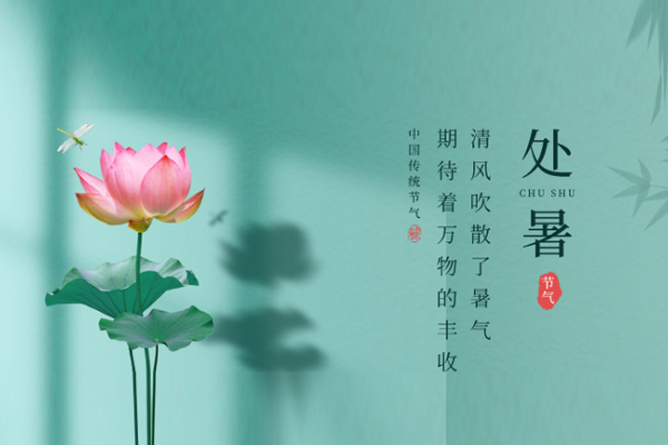 ����_(d��)�C(j��)е�S | ̎�����������g̎����